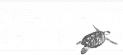dreamYachtCharter